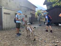 image1286